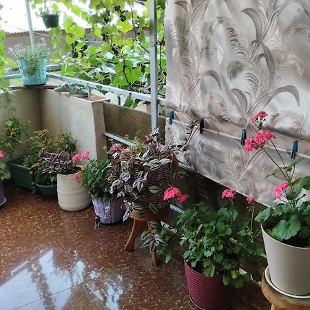 House In Borjomi Hotel Room photo