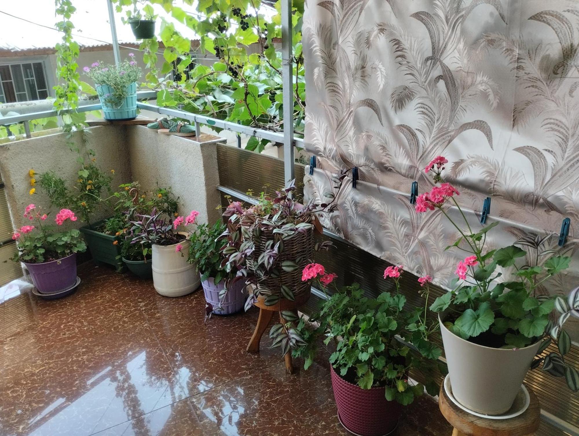 House In Borjomi Hotel Room photo